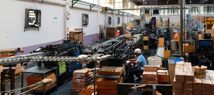A production and packing line with conveyor rollers, staged cartons and crew working along the run.